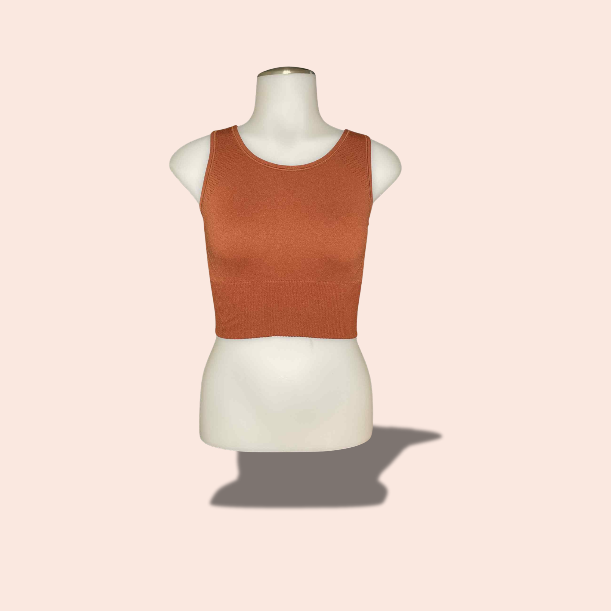 (SIZE LARGE) Rust All in Motion Seamless Gym Top